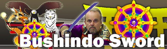 Bushindo Sword course with Doshi Richard Van Donk