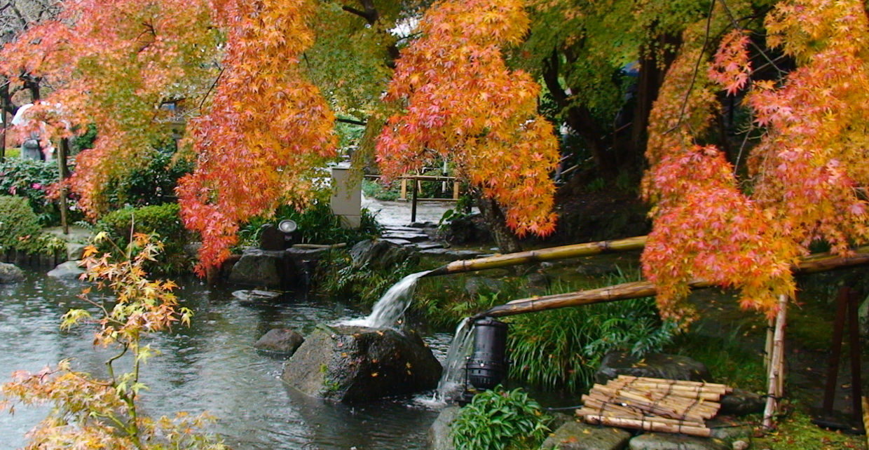 Japanese garden like those planned for the Bushindo Training Temple